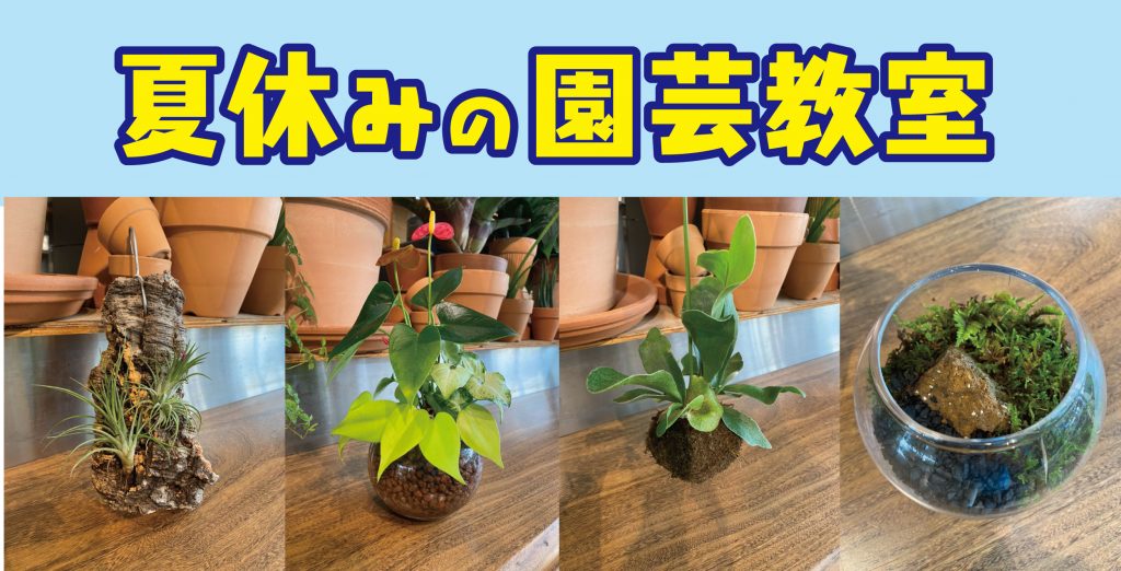 福岡東店forest くらしに花 心に華 平田ナーセリー