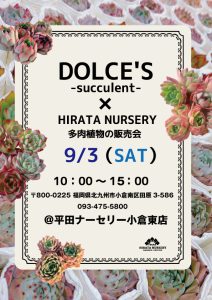 22 9 3 土 Dolce S Succulent 多肉植物の販売会 を開催 くらしに花 心に華 平田ナーセリー