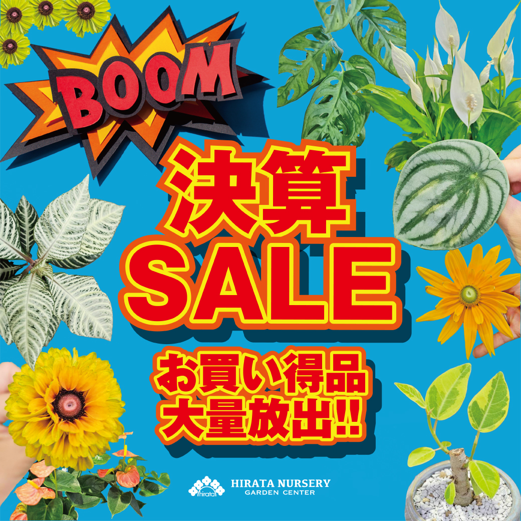 2024.7.19（金）大好評につき 決算セール期間延長！ | くらしに花、心