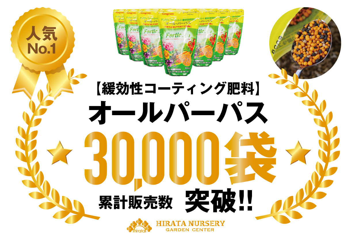 2024.8.2（金）夏本番！！イベントやワークショップが盛りだくさん