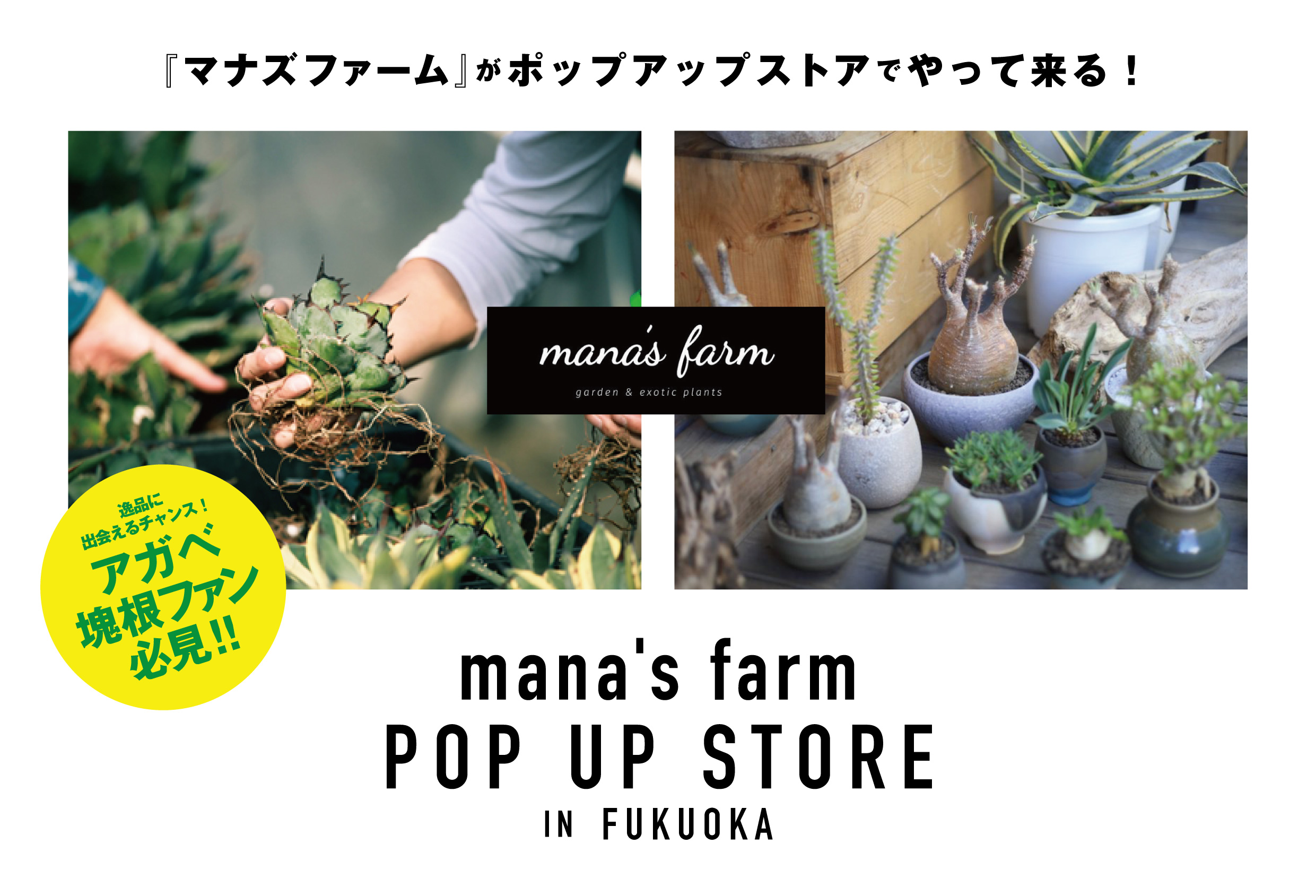 マナズファーム」がポップアップストアにやってくる！ | くらしに花