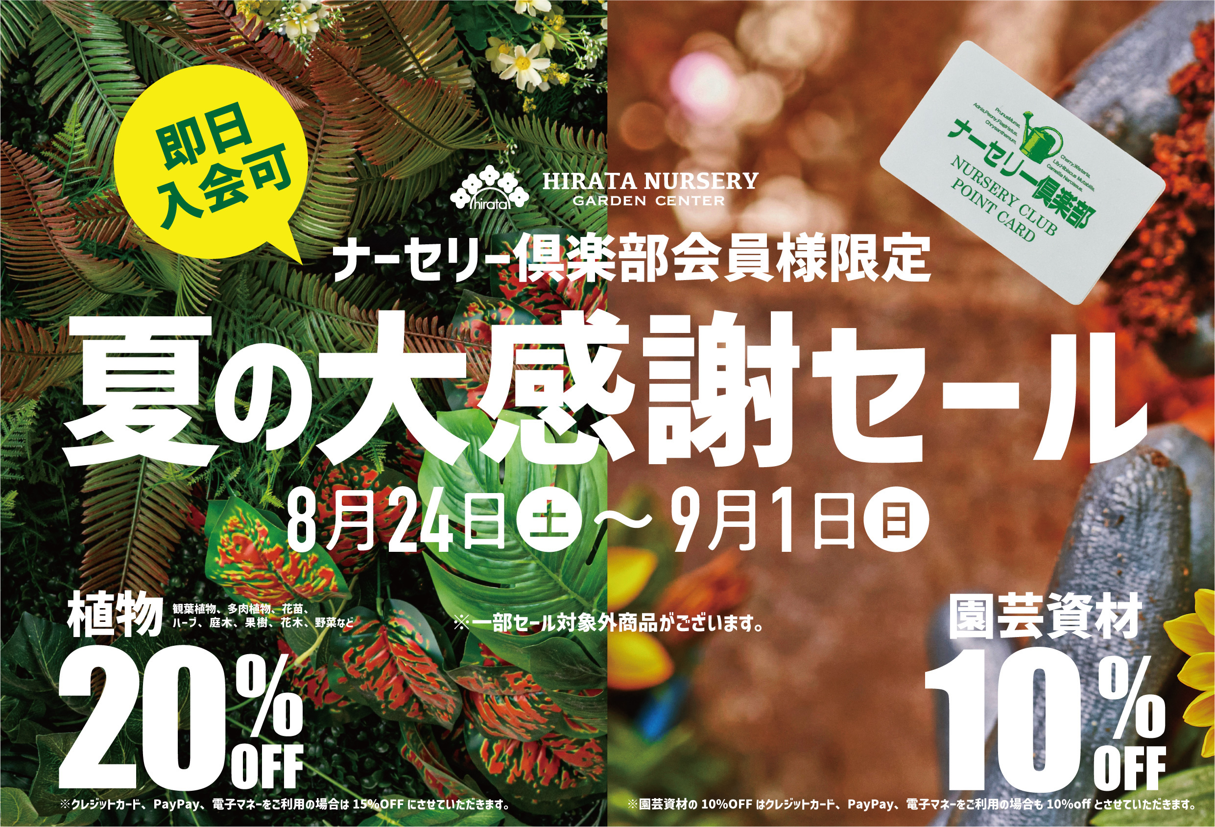 2024.8.23（金）ラストサマーを楽しもう！！ 夏のナーセリー倶楽部会員