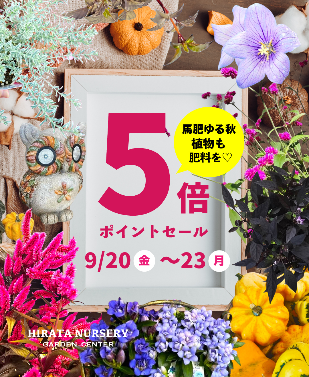 2024.9.20（金）秋のお彼岸！！ 5倍ポイントセール開催！！ くらしに花、心に華「平田ナーセリー」