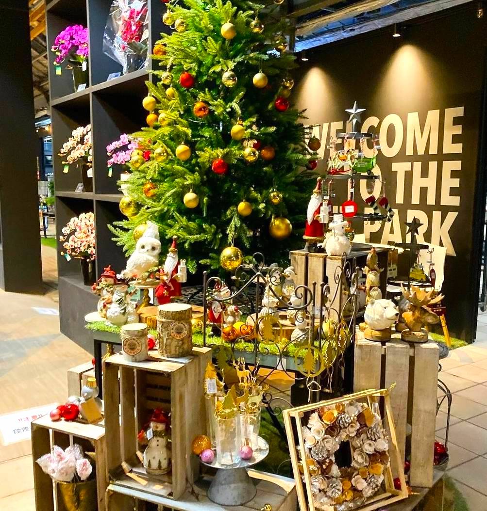 クリスマスモードに店内を模様替え！ ワークショップも充実