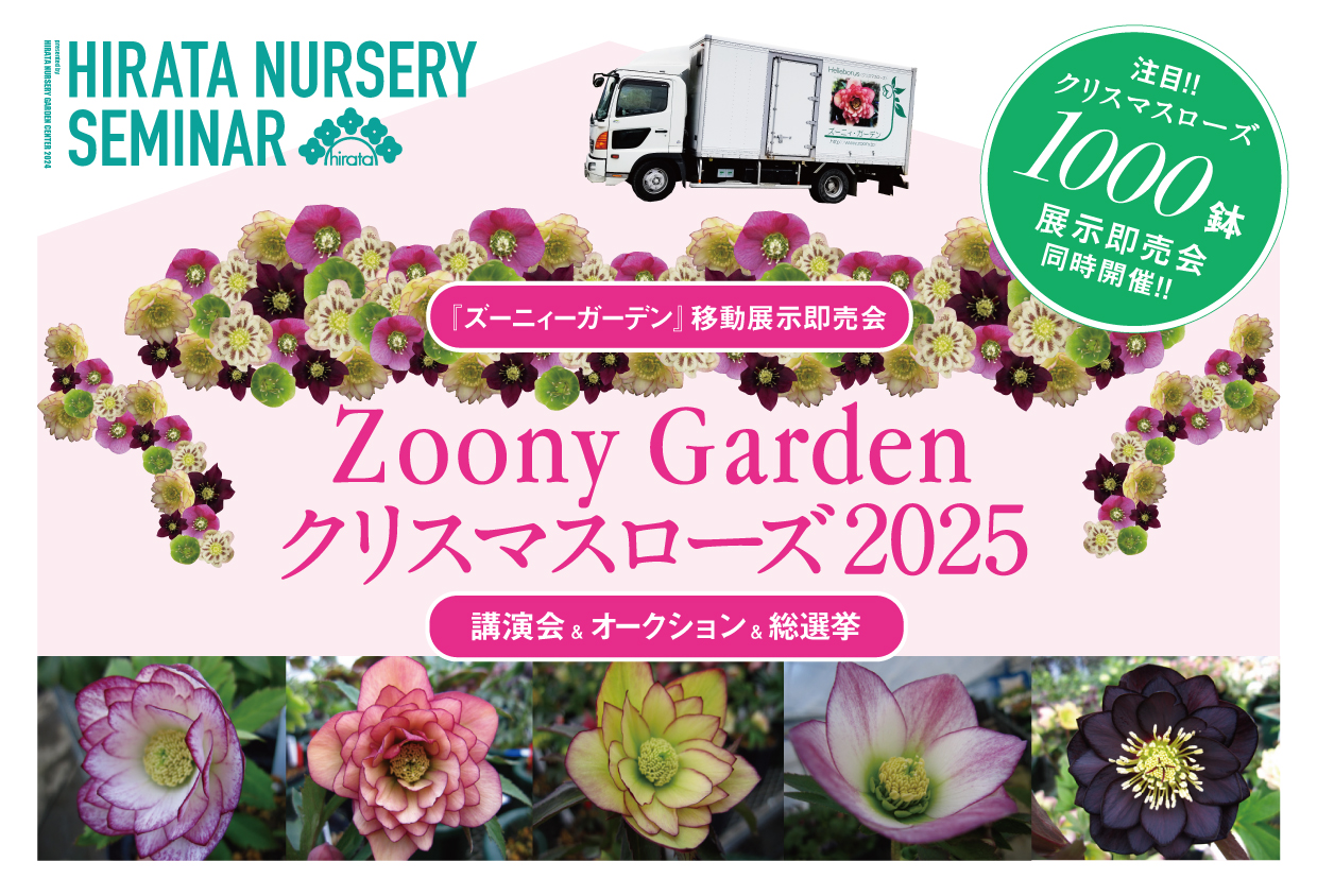2025.2/8～2/11 『Zoony Garden クリスマスローズ移動展示即売会2025