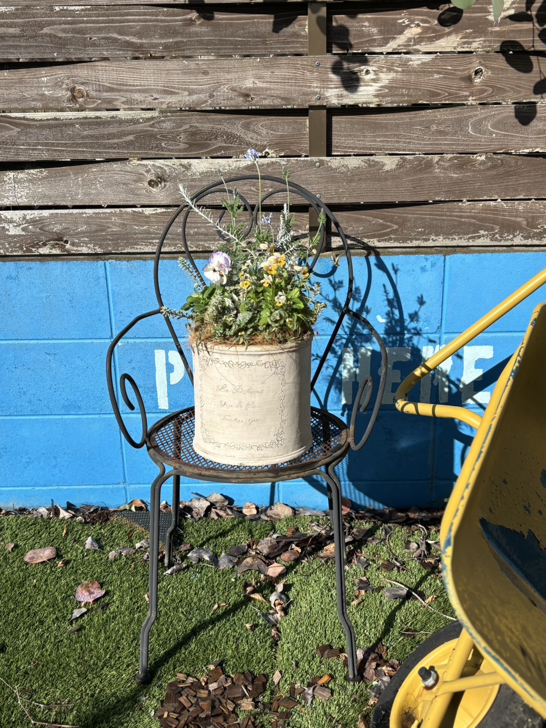 2024.12.20（金）5倍ポイントセール開催！寄せ植え植え替えは今