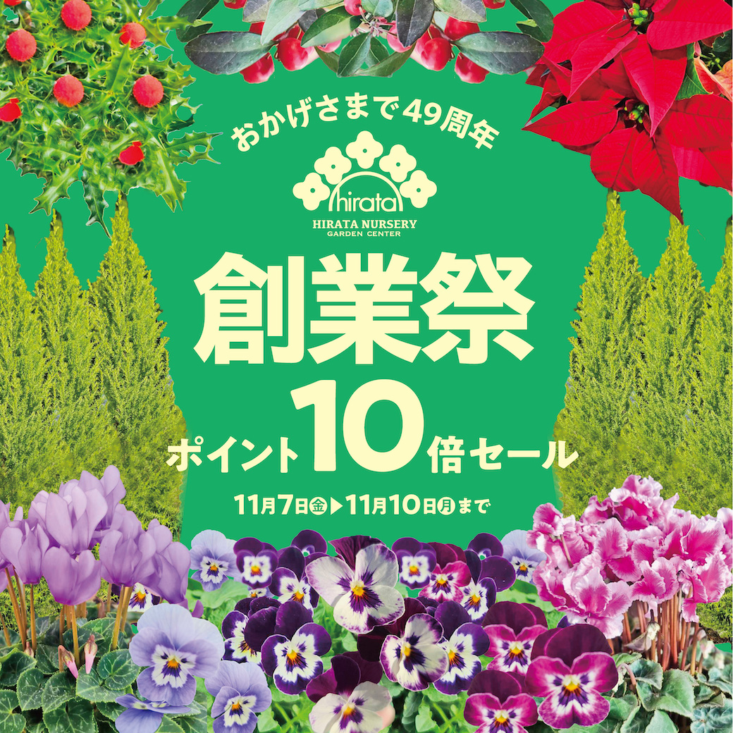 2025.11.7（金）おかげざまで49周年 感謝の大創業祭開催10倍ポイント