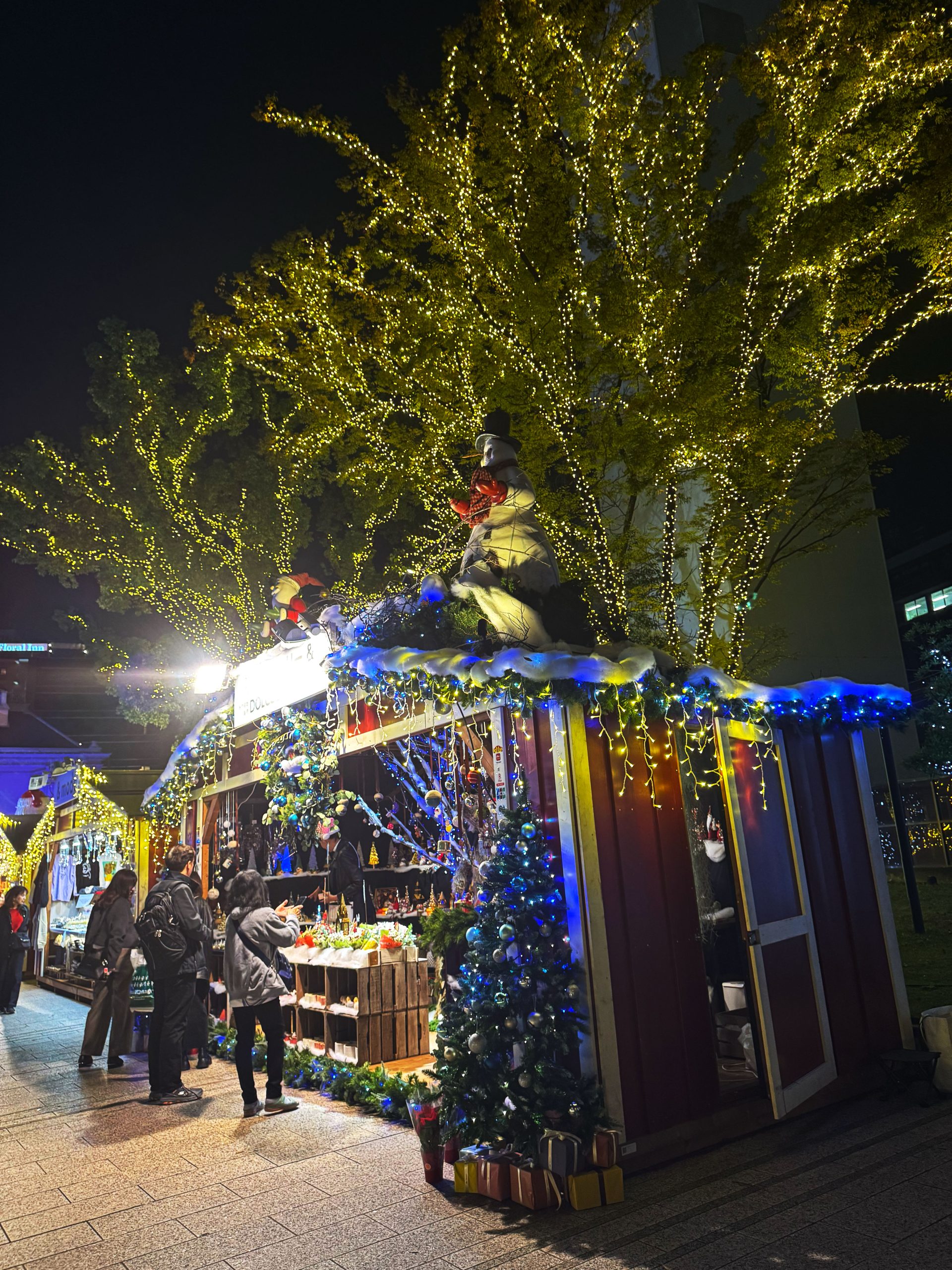 エックスワン　リボーテ　クリスマスまでの値下げ！ KBCフェスタデサンタ × 平田ナーセリー × DOLCE'S】クリスマス