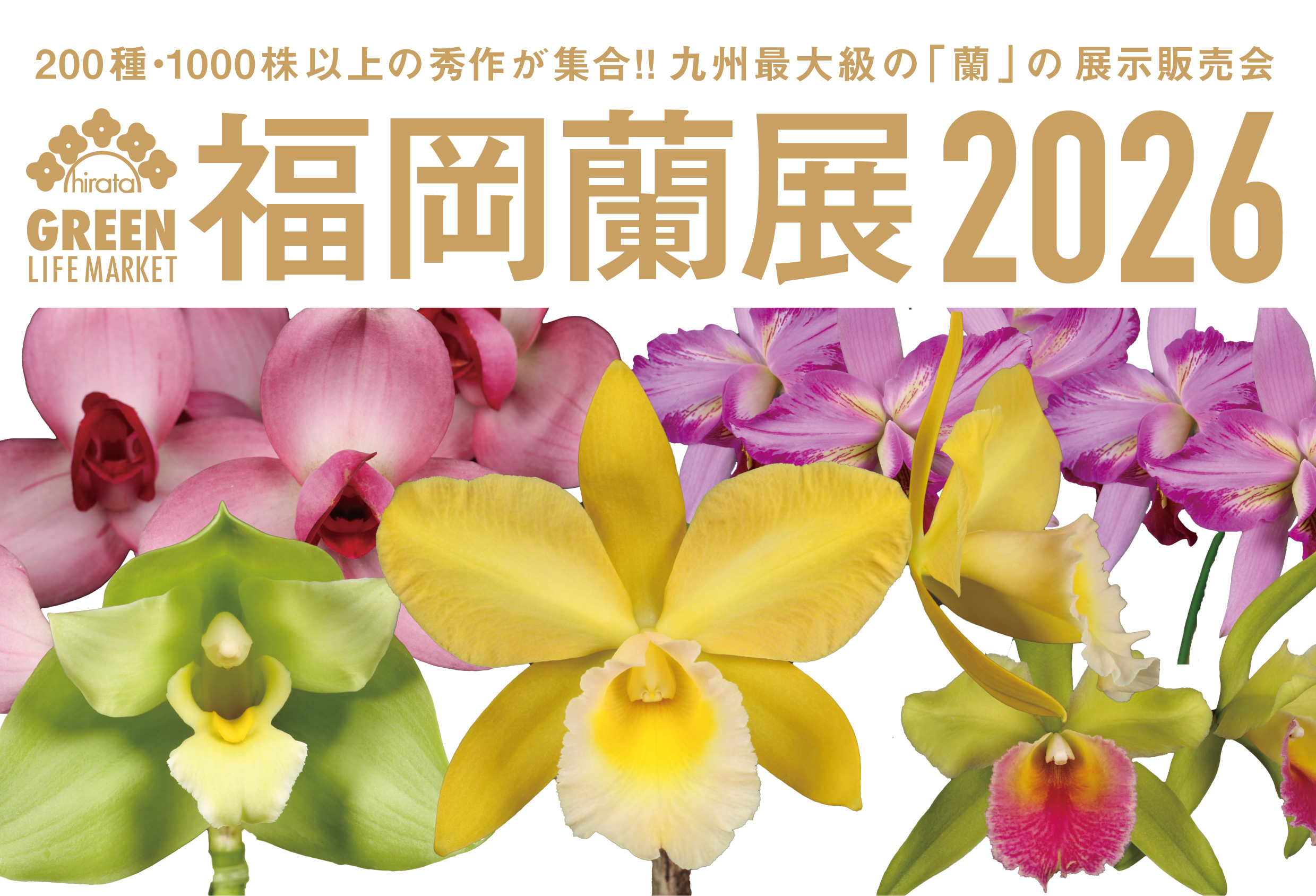2026『福岡蘭展』2月20日（金）・21日（土）・22日（日）・23日（祝